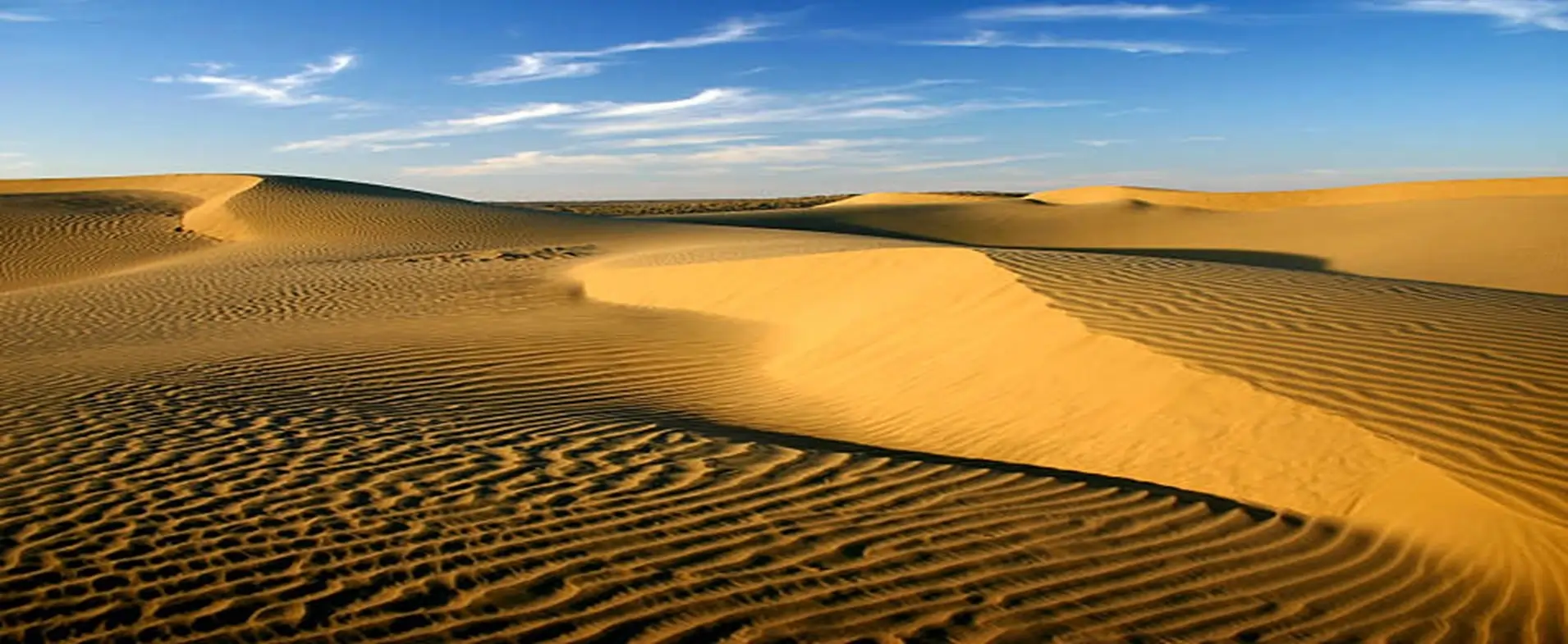 Service related to Rajasthan Village Visits & Camel Safari
